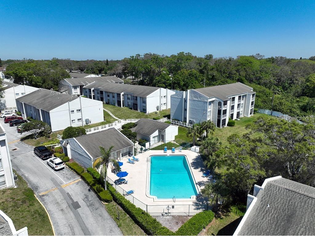 2625 State Road 590 #2613 Clearwater FL 33759 TB8364051 image1