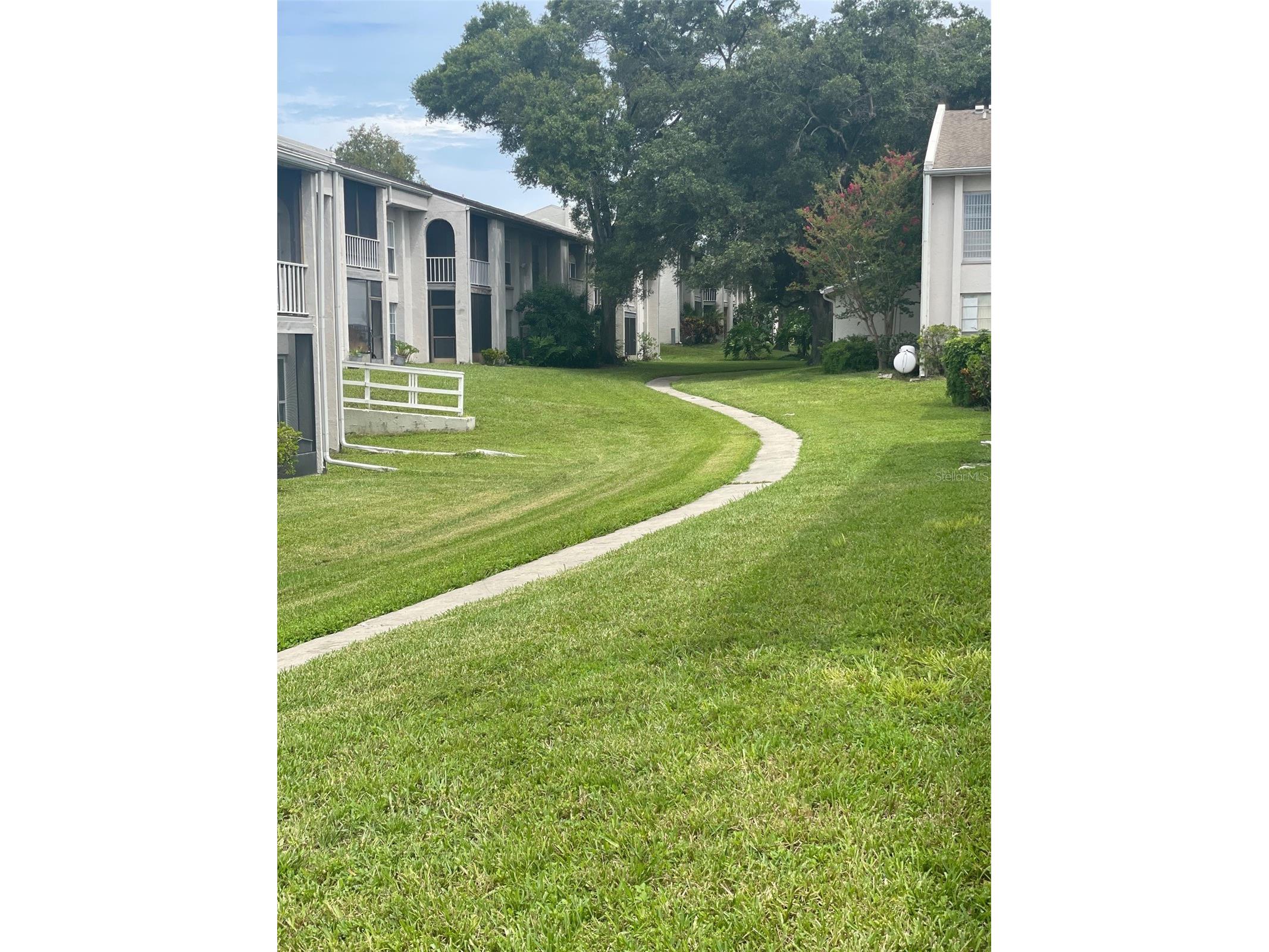2625 State Road 590 #2711 Clearwater FL 33759 TB8523307 image14