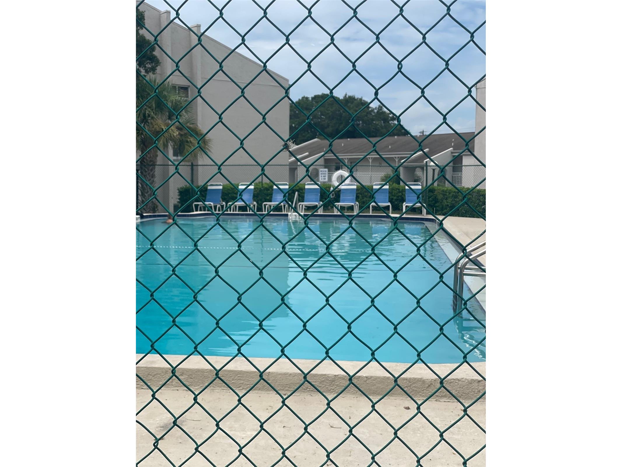 2625 State Road 590 #2711 Clearwater FL 33759 TB8523307 image17