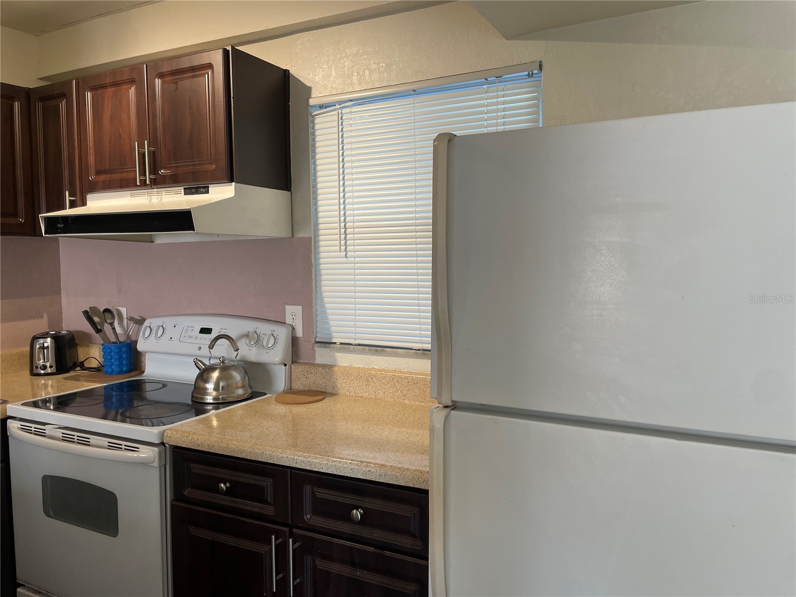 2625 State Road 590 #2711 Clearwater FL 33759 TB8523307 image5
