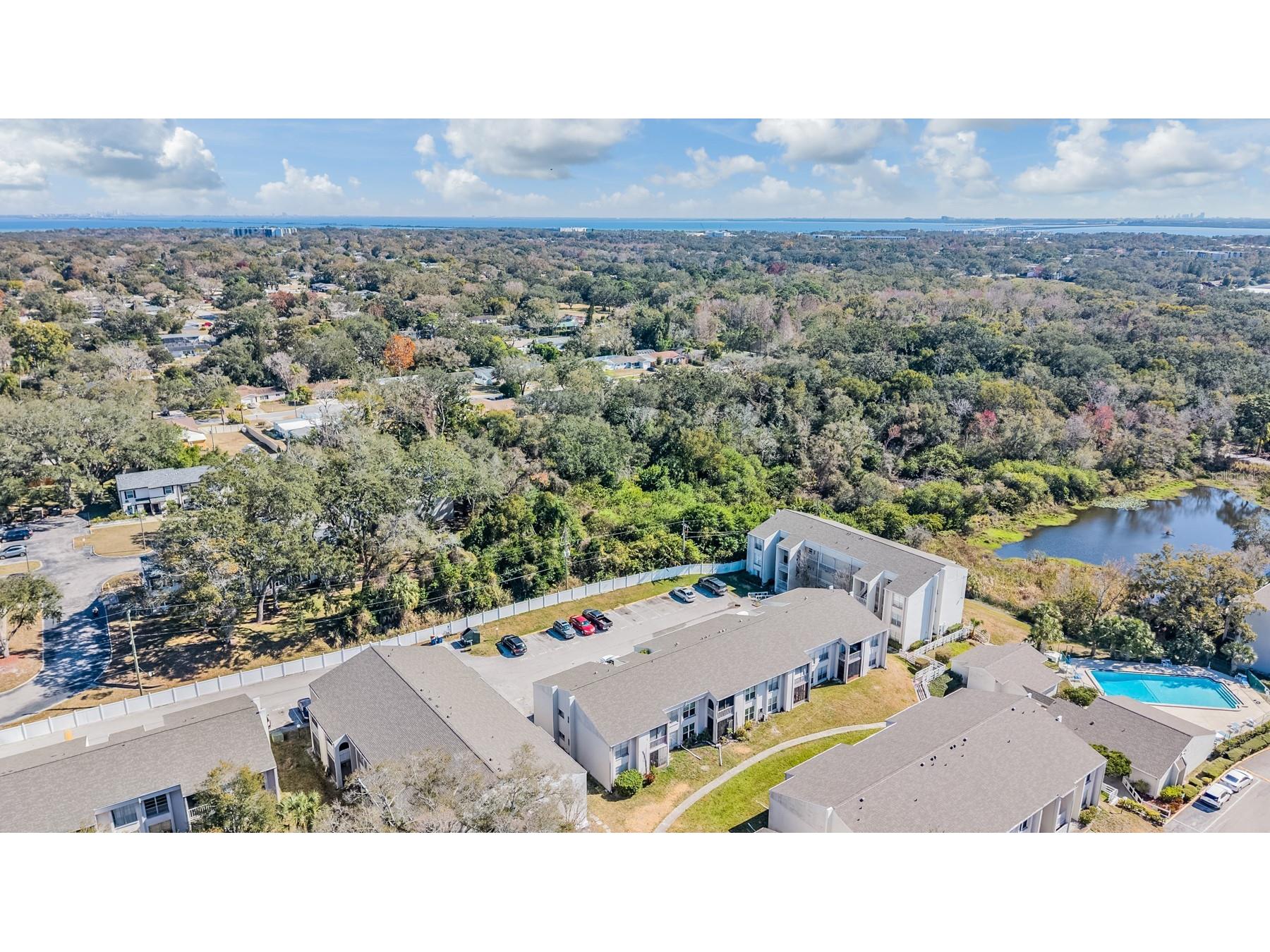 2625 State Road 590 #2714 Clearwater FL 33759 TB8473808 image32