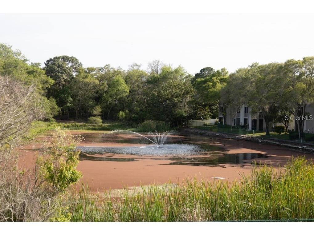 2625 State Road 590 #2811 Clearwater FL 33759 TB8458697 image16