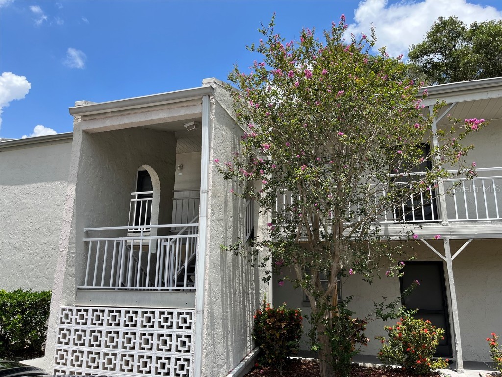 2625 State Road 590 #321 Clearwater FL 33759 U8204980 image1