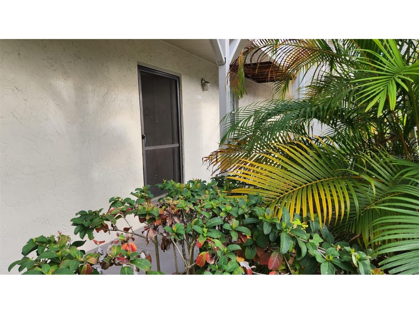 2625 State Road 590 #713 Clearwater FL 33759 U8229485 image1