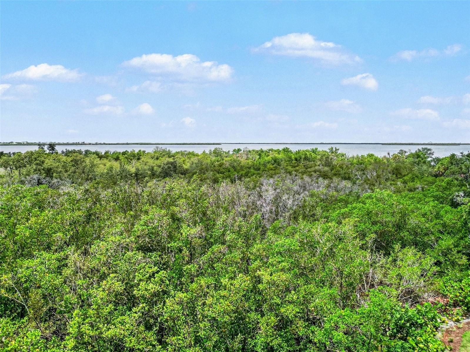 2625 Terra Ceia Bay Boulevard #201 Palmetto FL 34221 TB8513380 image26