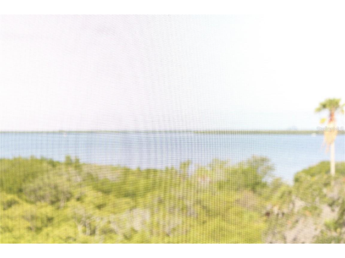 2625 Terra Ceia Bay Boulevard #401 Palmetto FL 34221 A4589340 image19