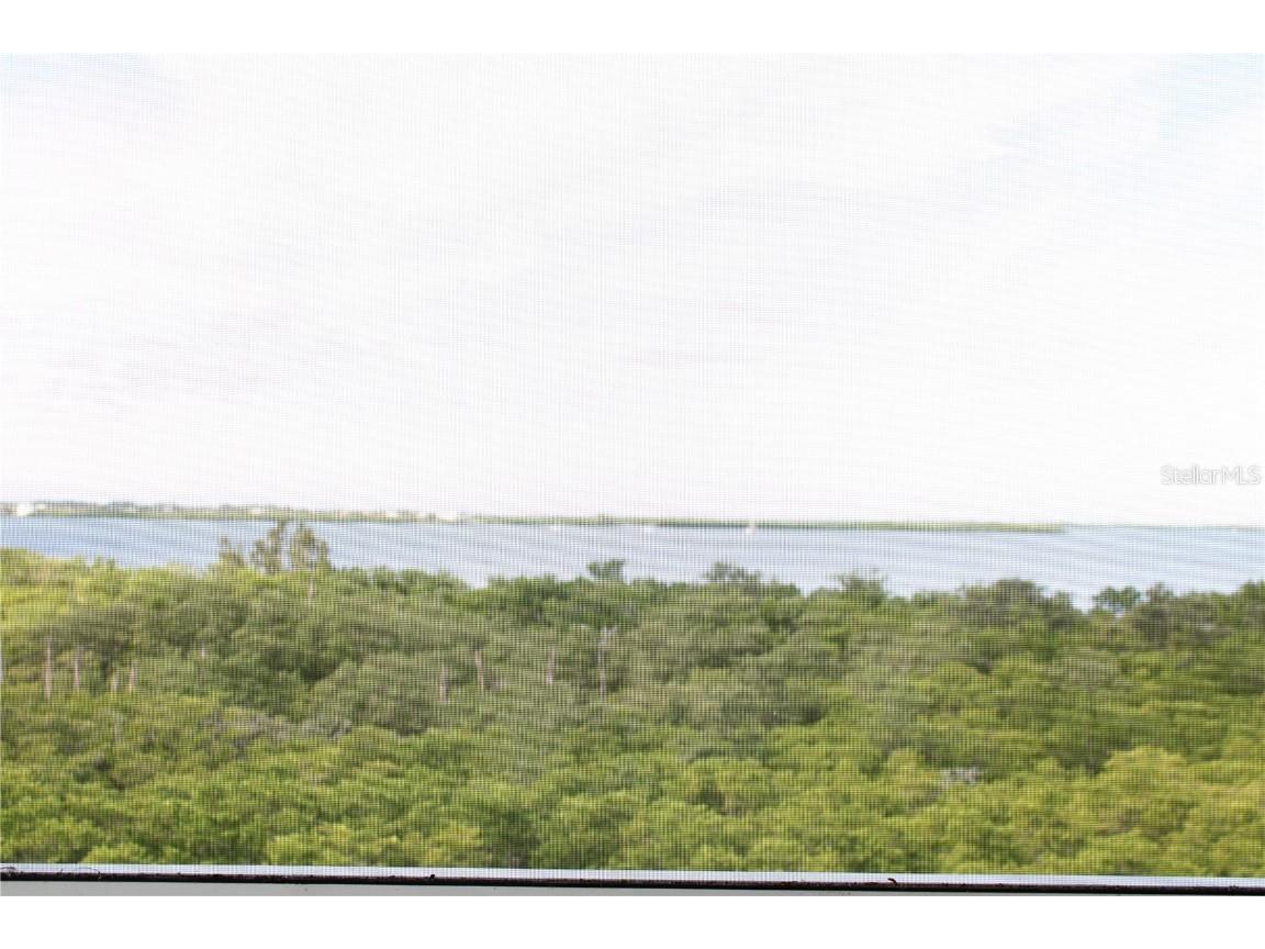 2625 Terra Ceia Bay Boulevard #401 Palmetto FL 34221 A4589340 image20