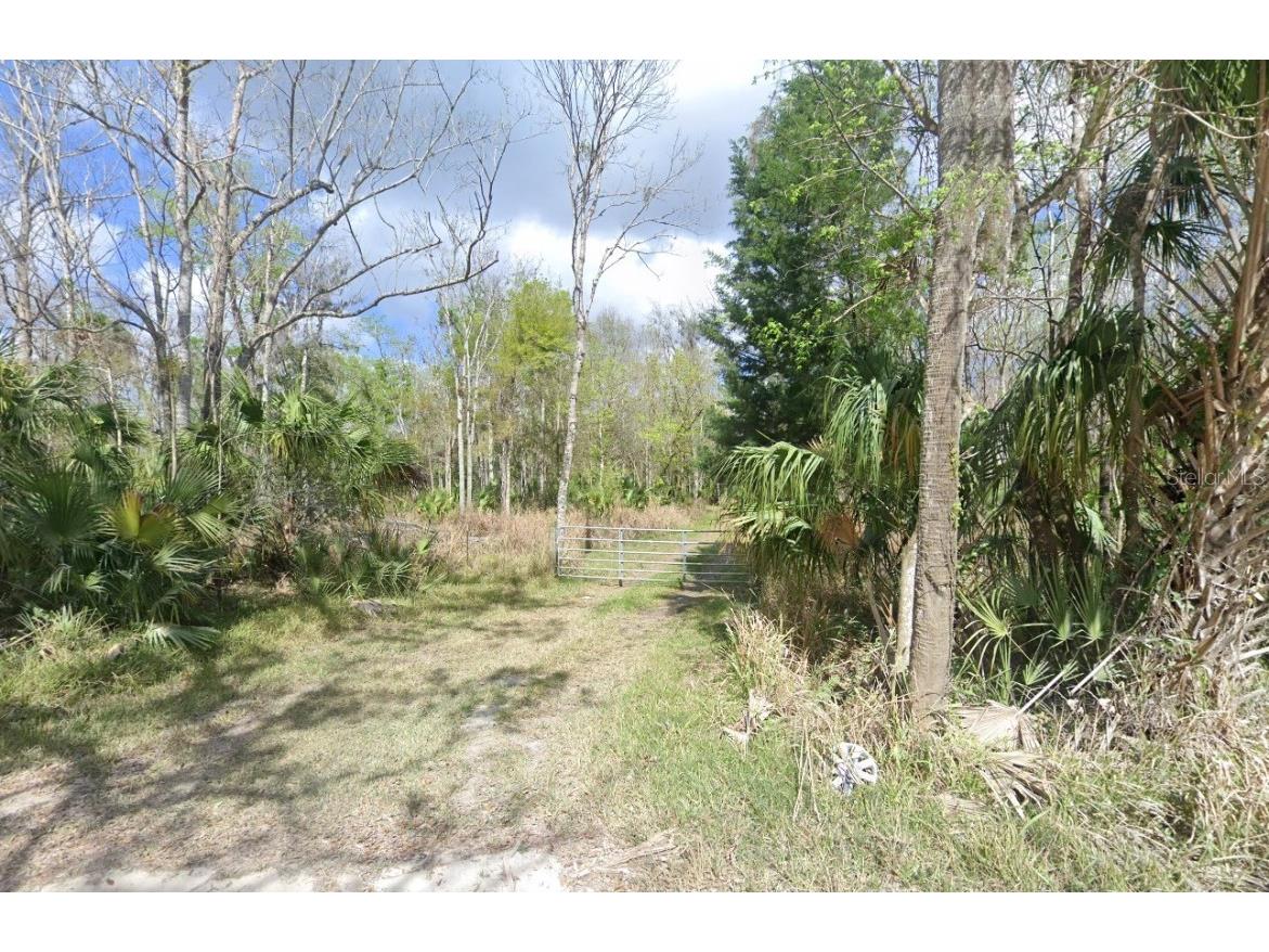 2625 Volco Road Edgewater FL 32141 NS1085910 image1