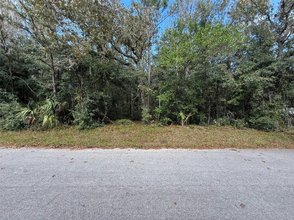 2625 W Pharaoh Court Lecanto FL 34461 G5089448 image1