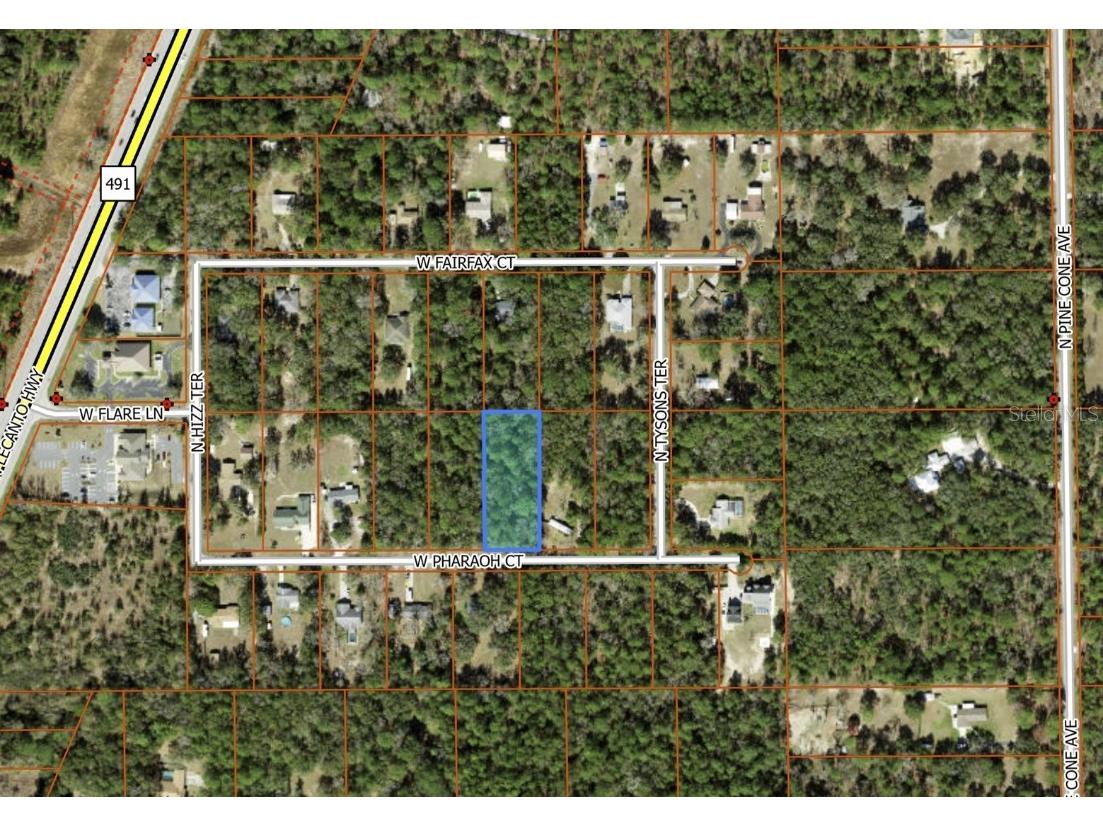 2625 W Pharaoh Court Lecanto FL 34461 TB8330978 image1