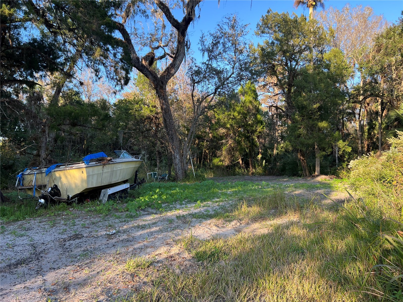 26251 E Colonial Drive Christmas FL 32709 O6368238 image2