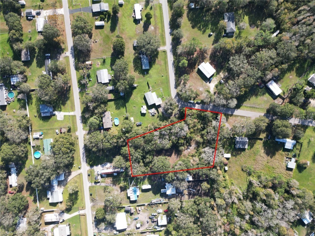 26259 Glenhaven Road Wesley Chapel FL 33544 T3416790 image1