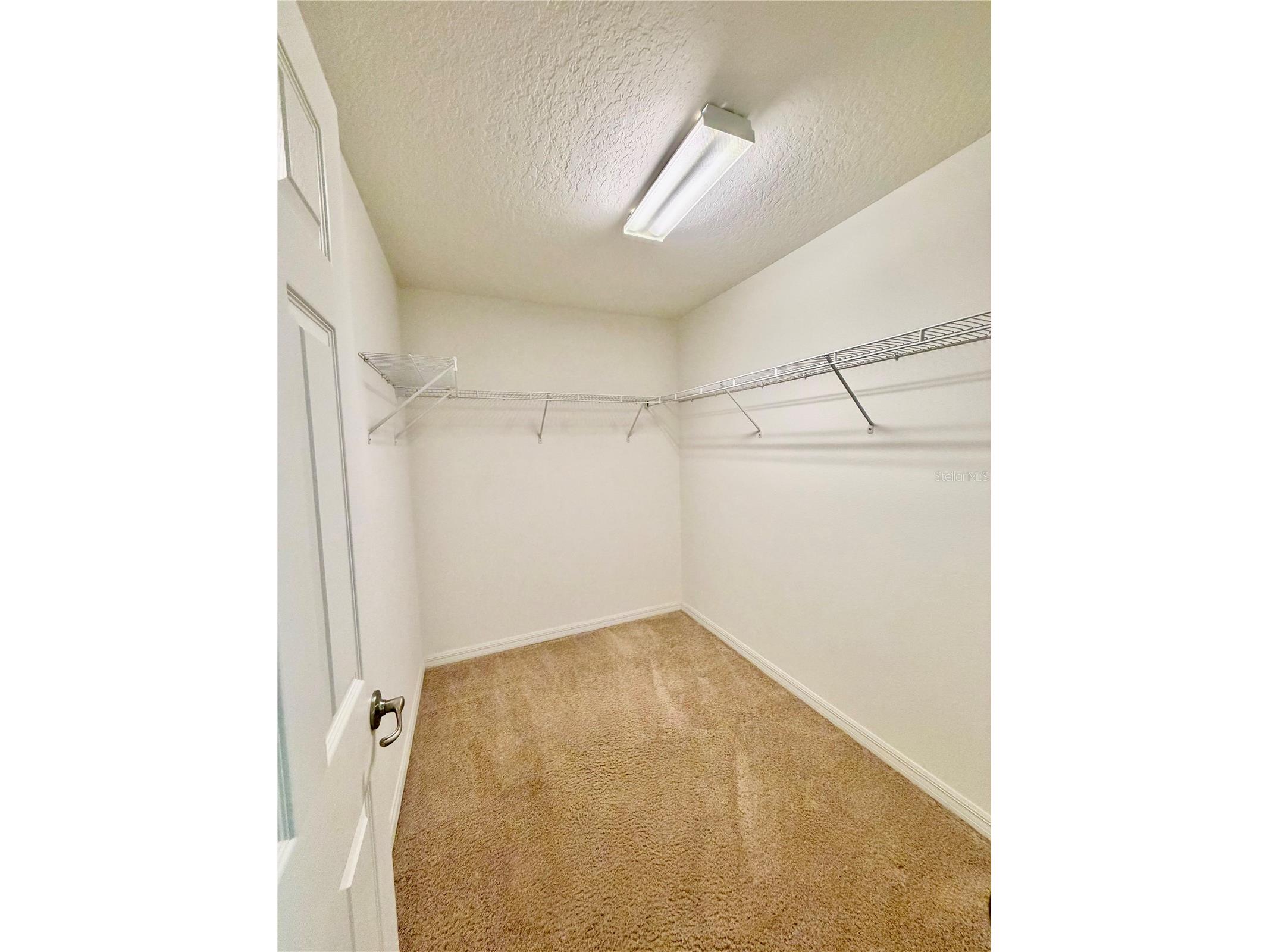 2626 Breezy Meadow Road Apopka FL 32712 O6423612 image21