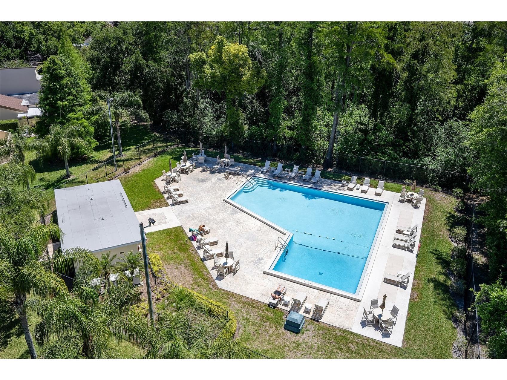 2626 Cedar View Court Clearwater FL 33761 TB8501518 image29
