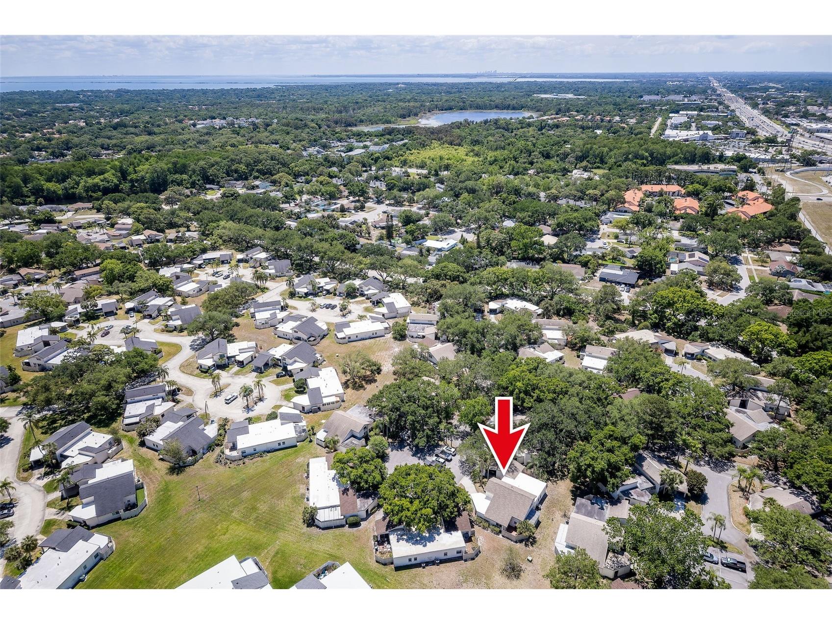 2626 Cedar View Court Clearwater FL 33761 TB8501518 image31