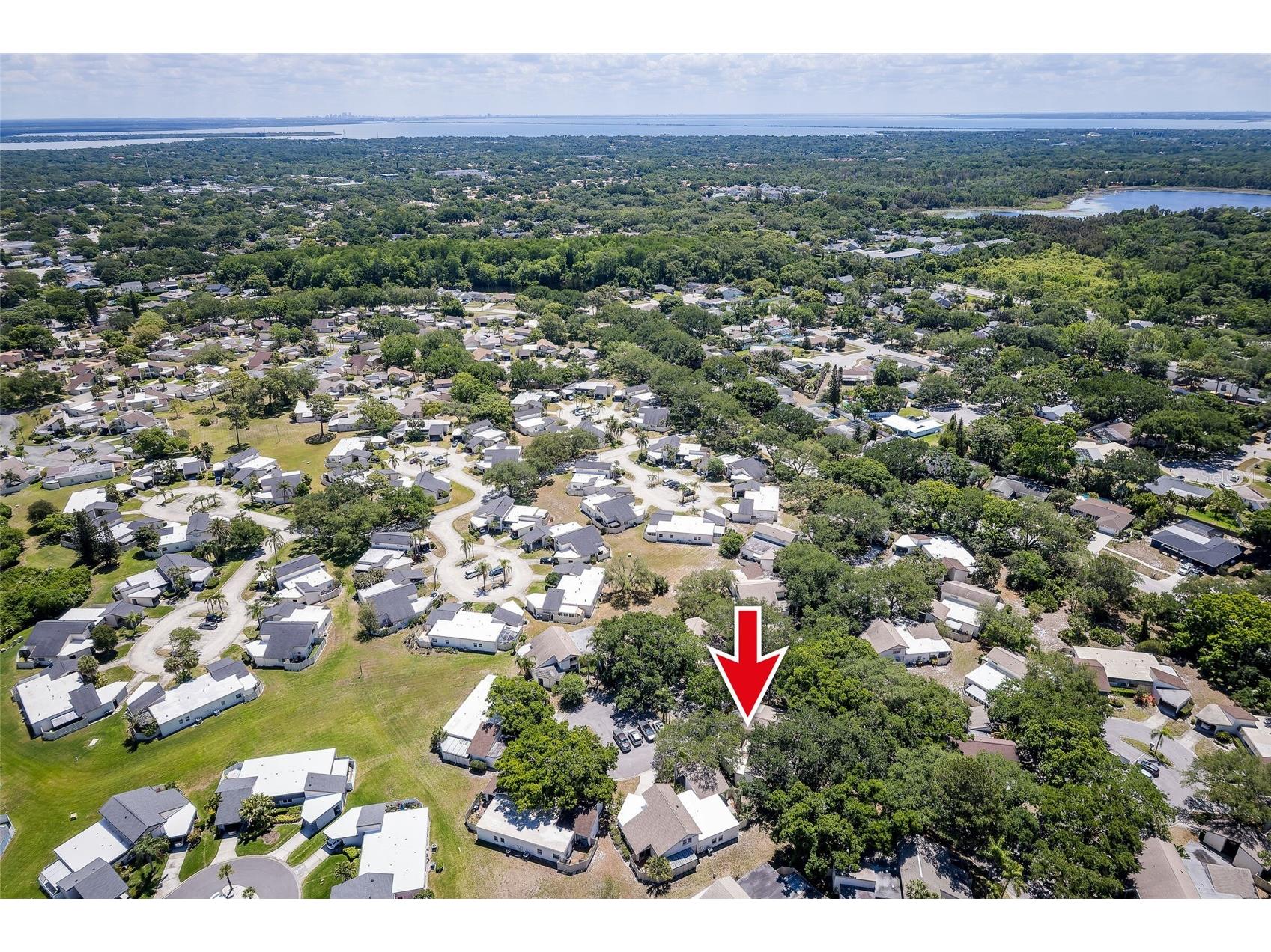 2626 Cedar View Court Clearwater FL 33761 TB8501518 image32