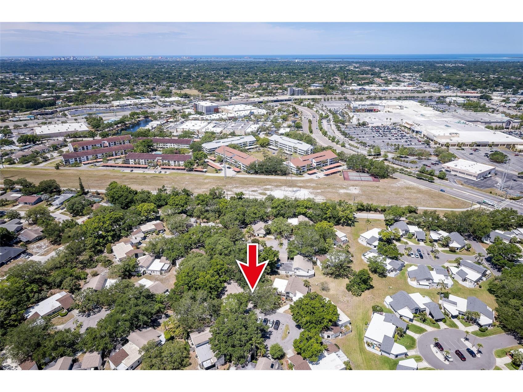 2626 Cedar View Court Clearwater FL 33761 TB8501518 image33