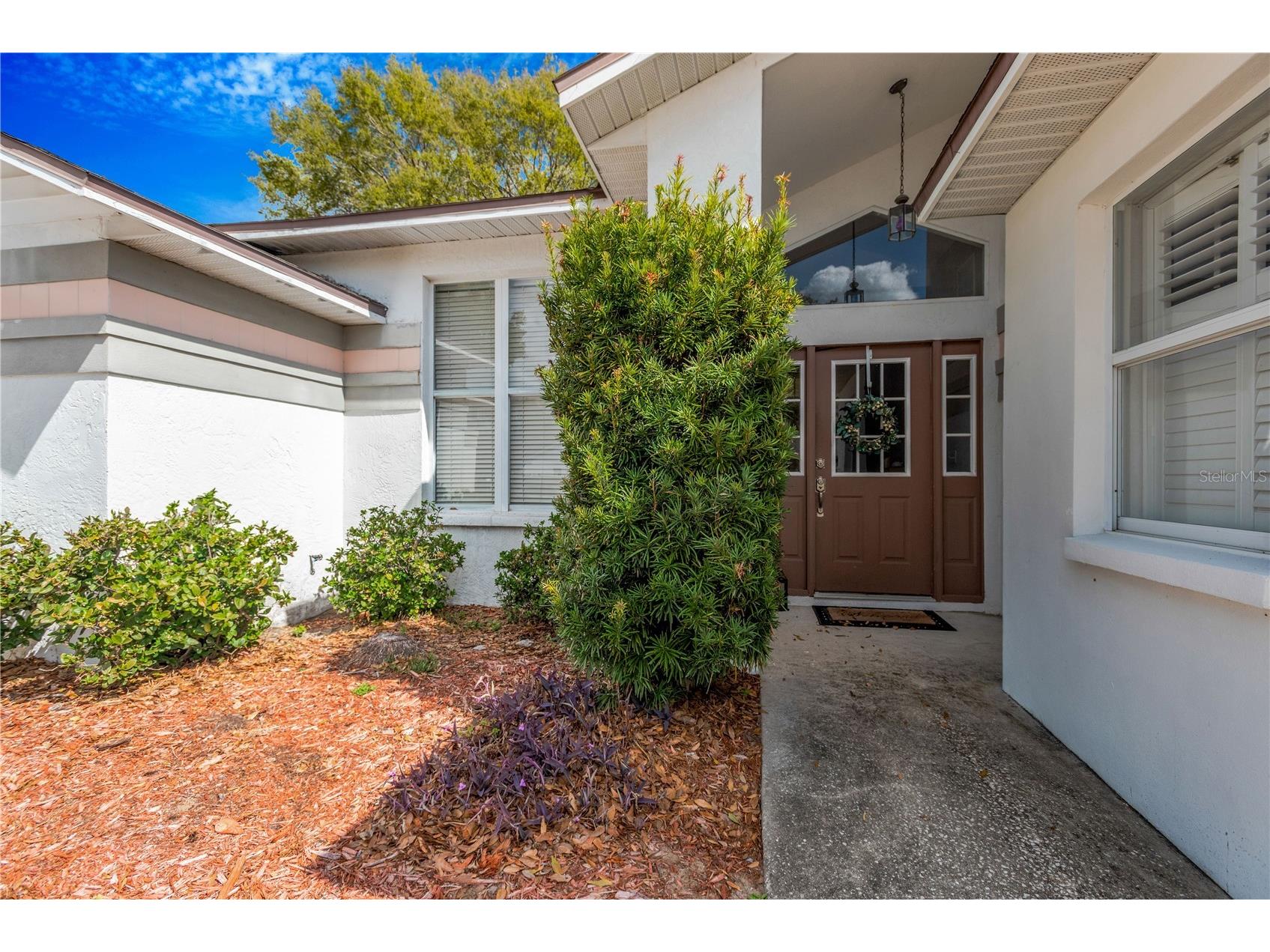 2626 Crestfield Drive Valrico FL 33596 TB8487199 image4