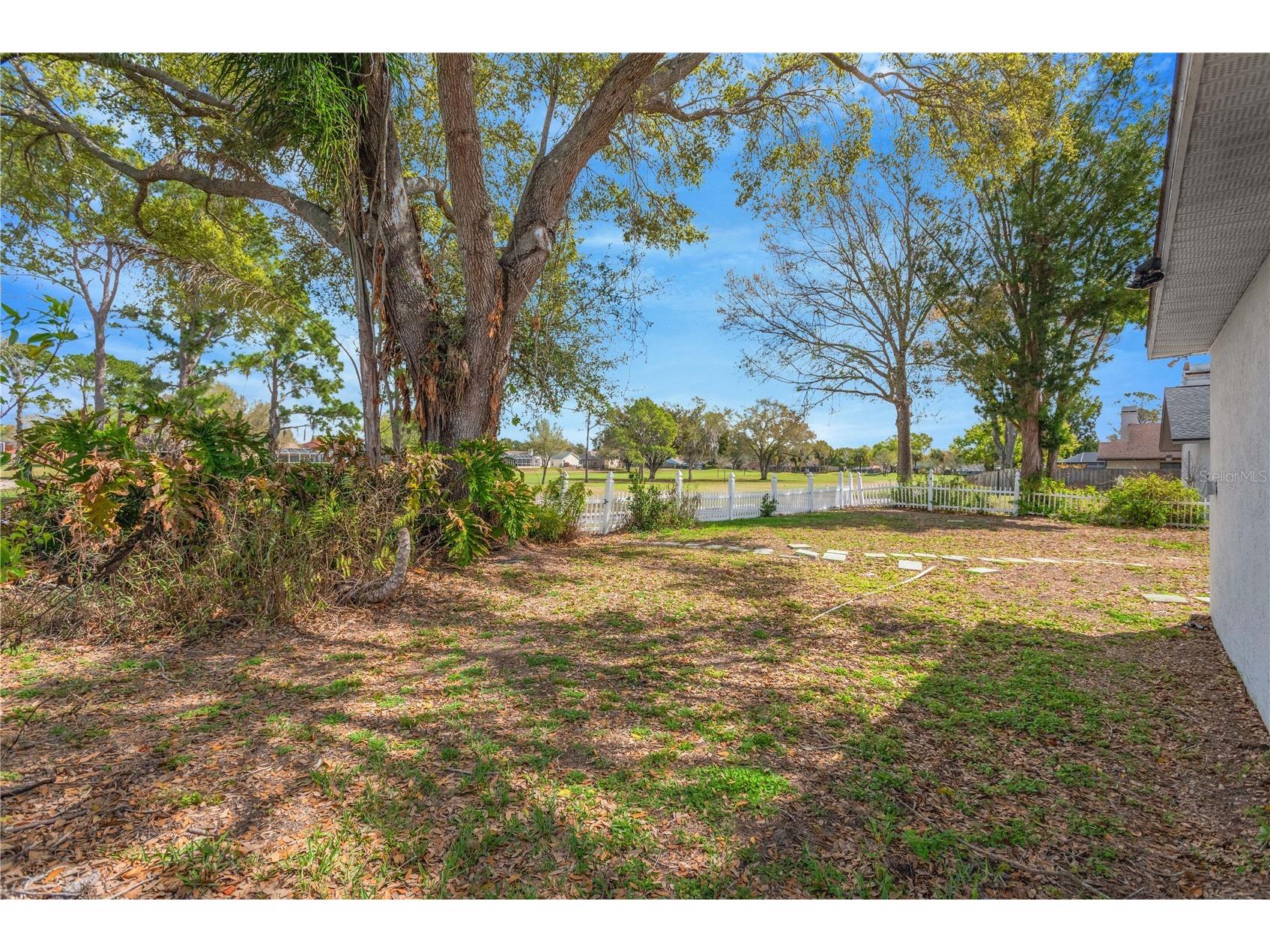 2626 Crestfield Drive Valrico FL 33596 TB8487199 image47