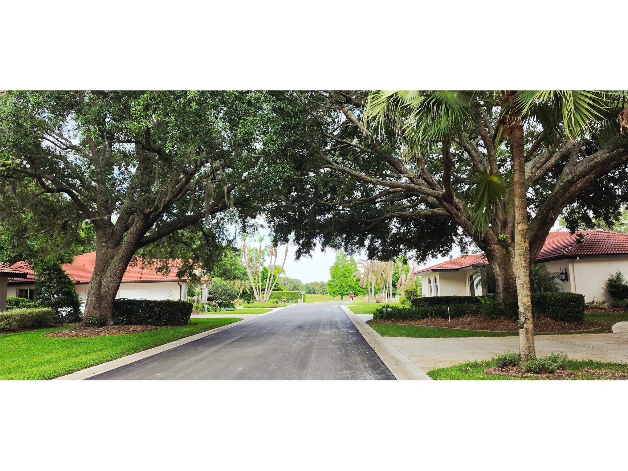 2626 Eagle Court Lake Wales FL 33898 P4937371 image13
