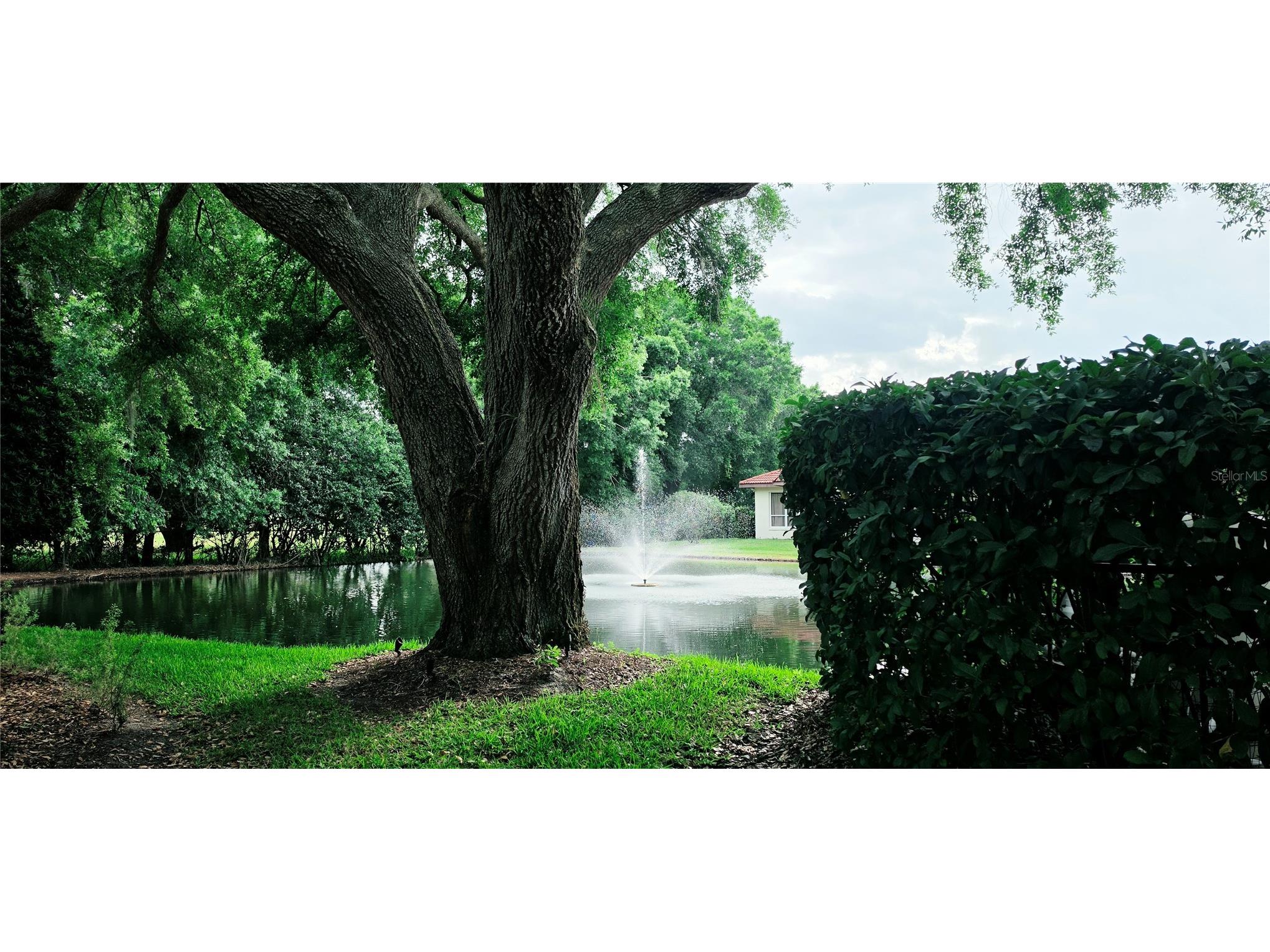 2626 Eagle Court Lake Wales FL 33898 P4937371 image5