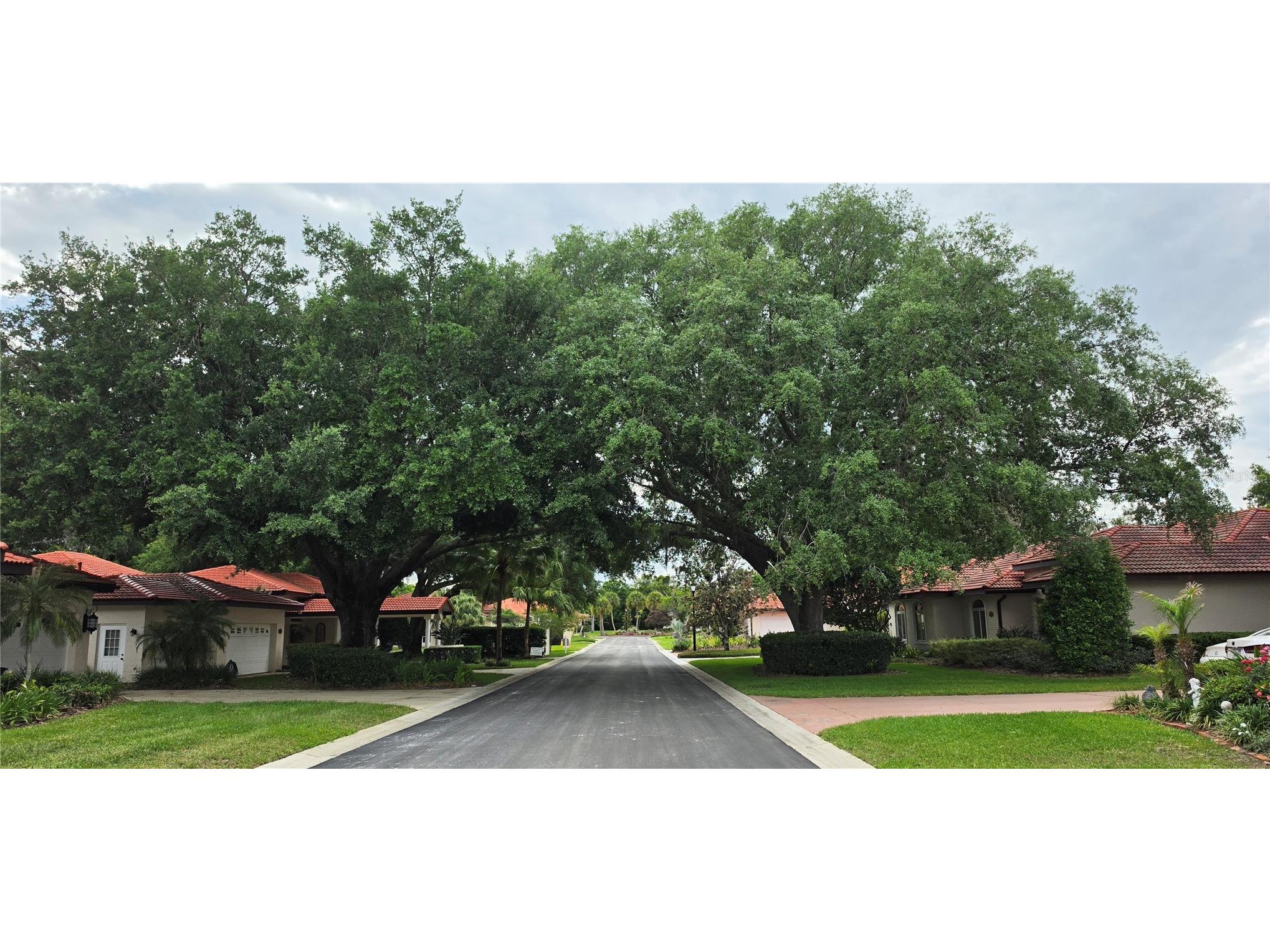 2626 Eagle Court Lake Wales FL 33898 P4937371 image6