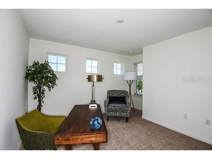 2626 Ham Brown Road #ELENA Kissimmee FL 34746 O6221376 image13