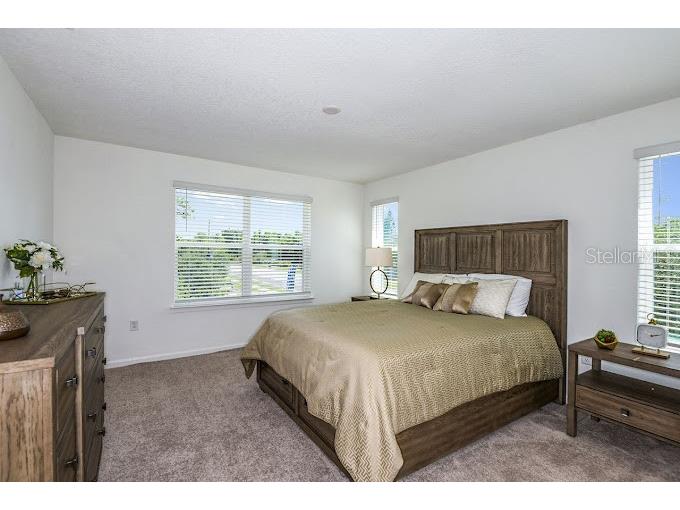 2626 Ham Brown Road #MAGDALENA Kissimmee FL 34746 O6221385 image9