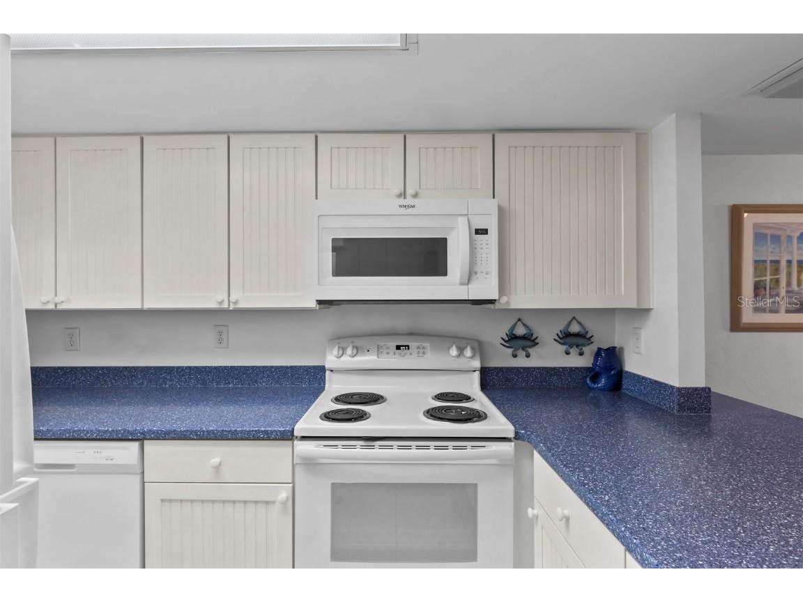 2626 S Atlantic Avenue #1080 Daytona Beach FL 32118 V4942110 image7