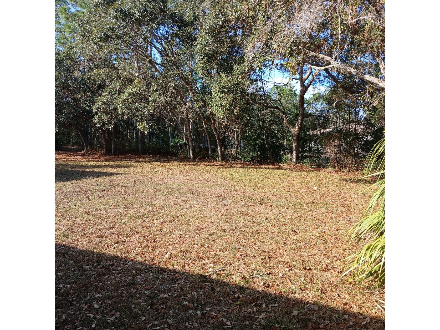 2626 S Columbine Avenue Homosassa FL 34448 OM716562 image14