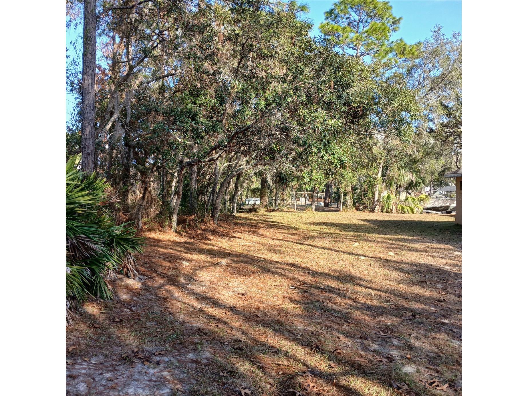 2626 S Columbine Avenue Homosassa FL 34448 OM716562 image15