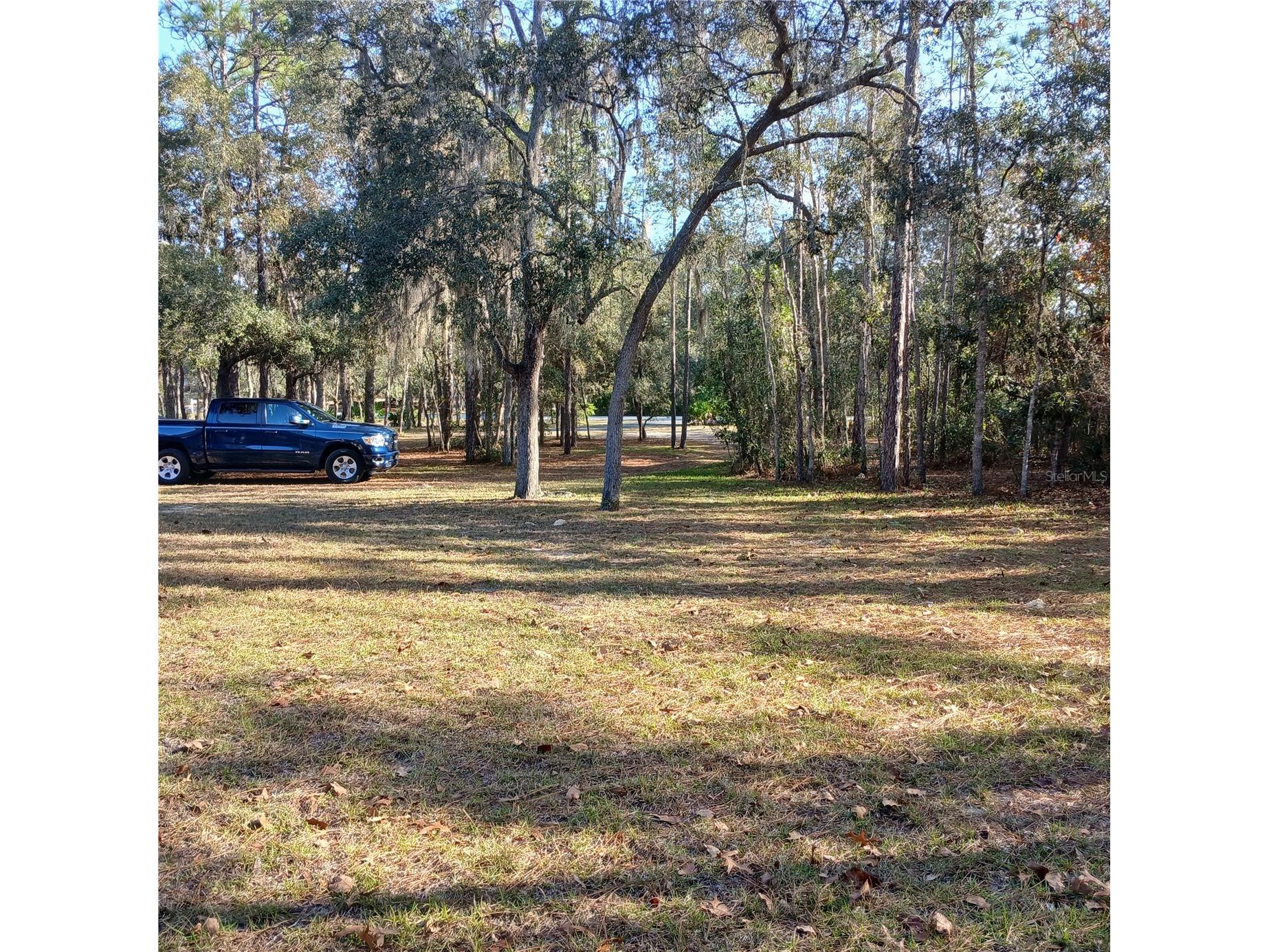 2626 S Columbine Avenue Homosassa FL 34448 OM716562 image20