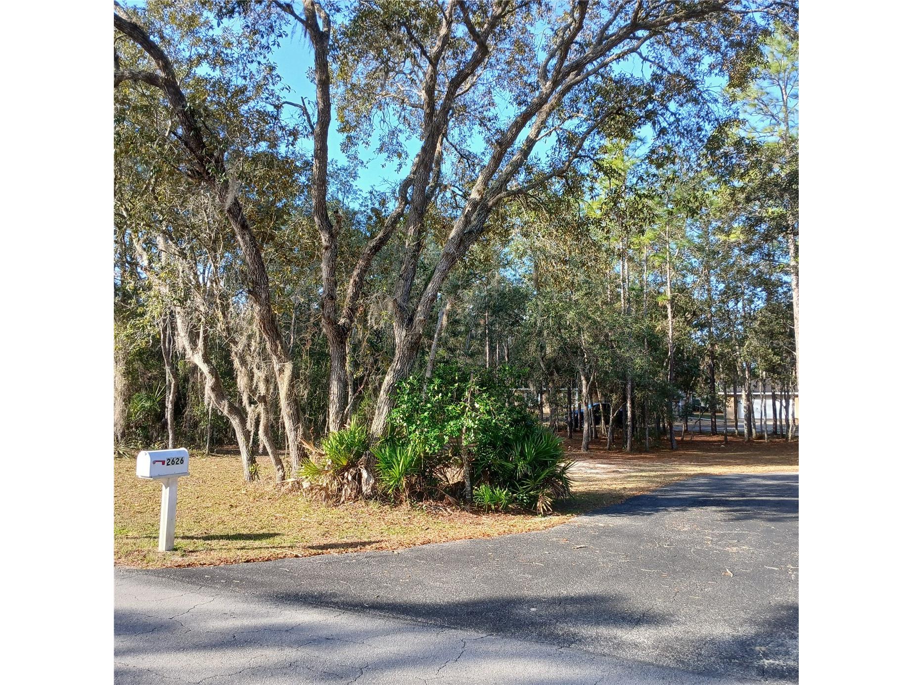 2626 S Columbine Avenue Homosassa FL 34448 OM716562 image3