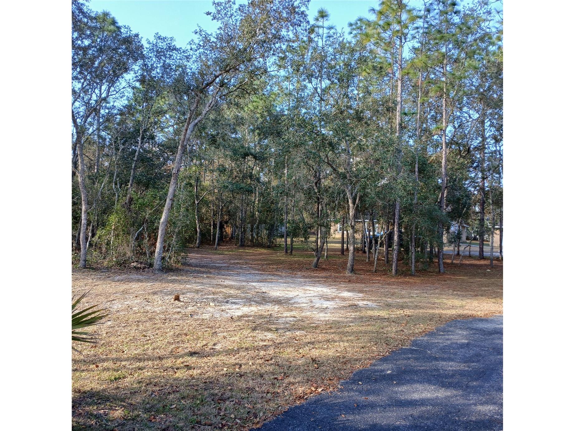 2626 S Columbine Avenue Homosassa FL 34448 OM716562 image4