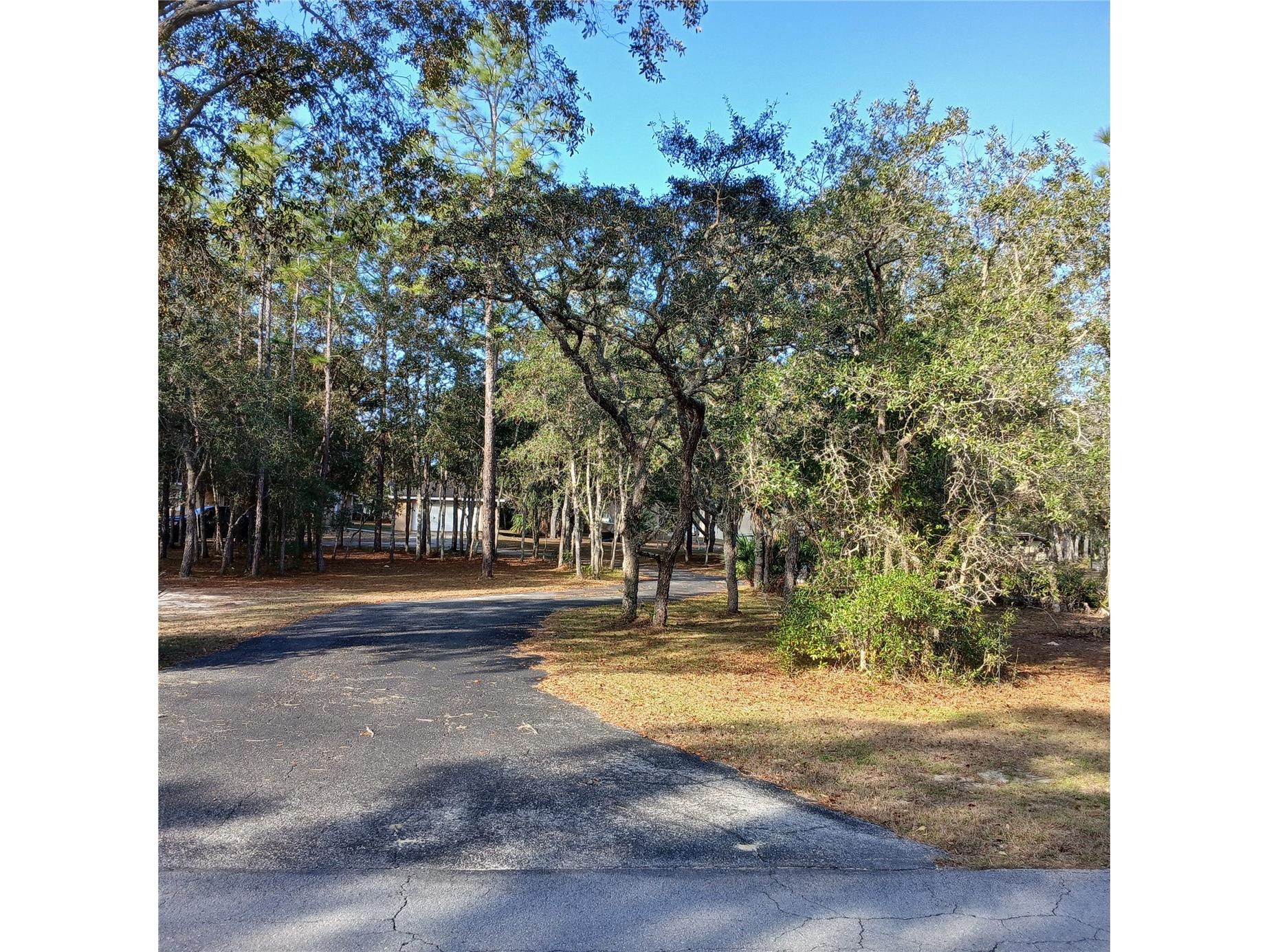 2626 S Columbine Avenue Homosassa FL 34448 OM716562 image5