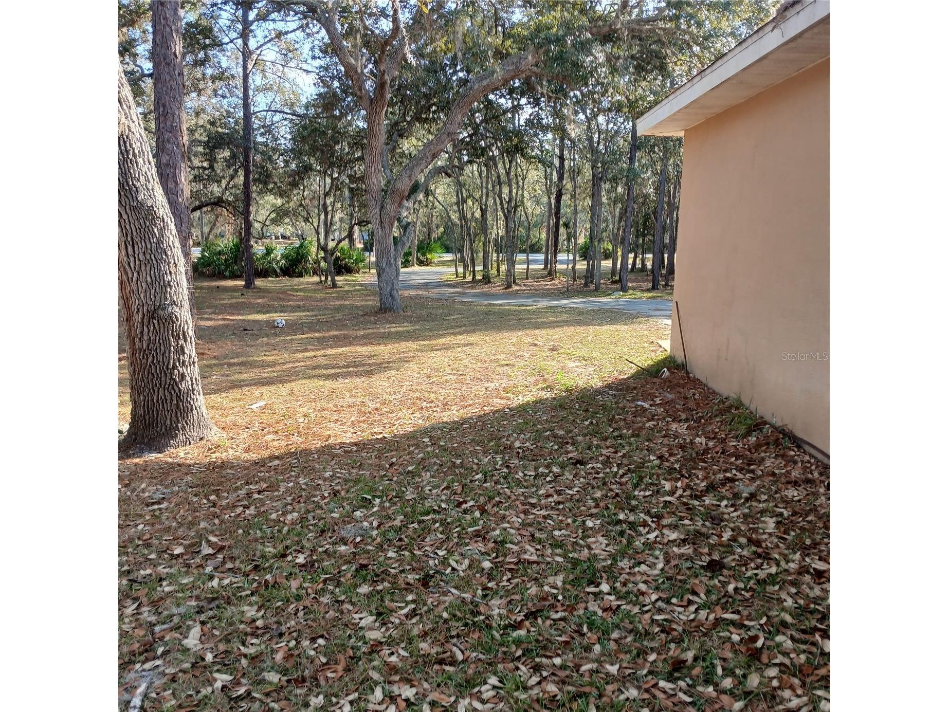 2626 S Columbine Avenue Homosassa FL 34448 OM716562 image9
