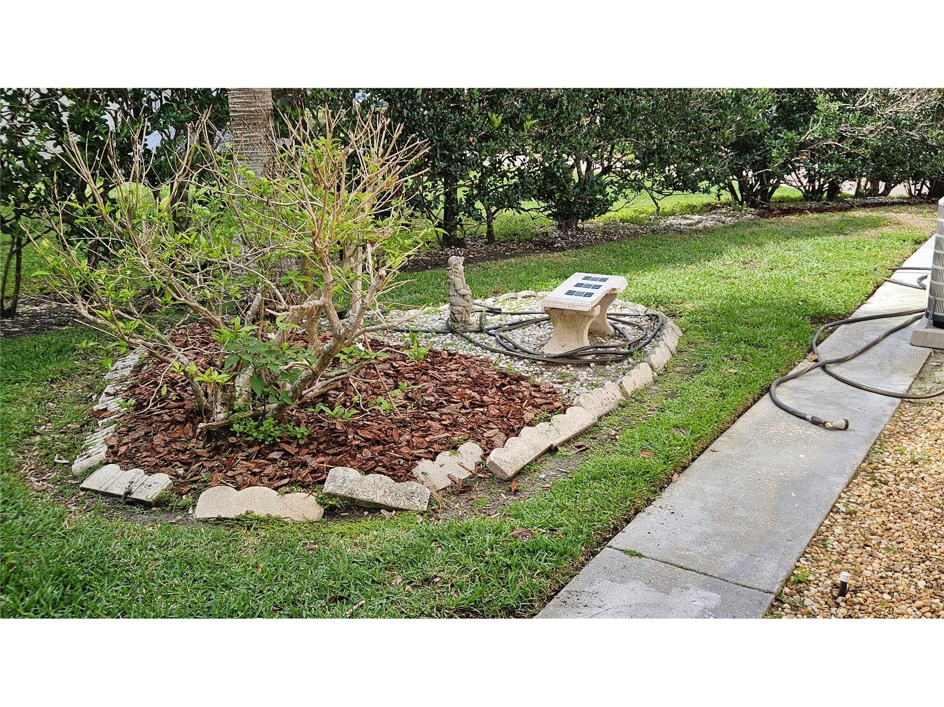 2626 Wendover Terrace Palm Harbor FL 34685 TB8497428 image37