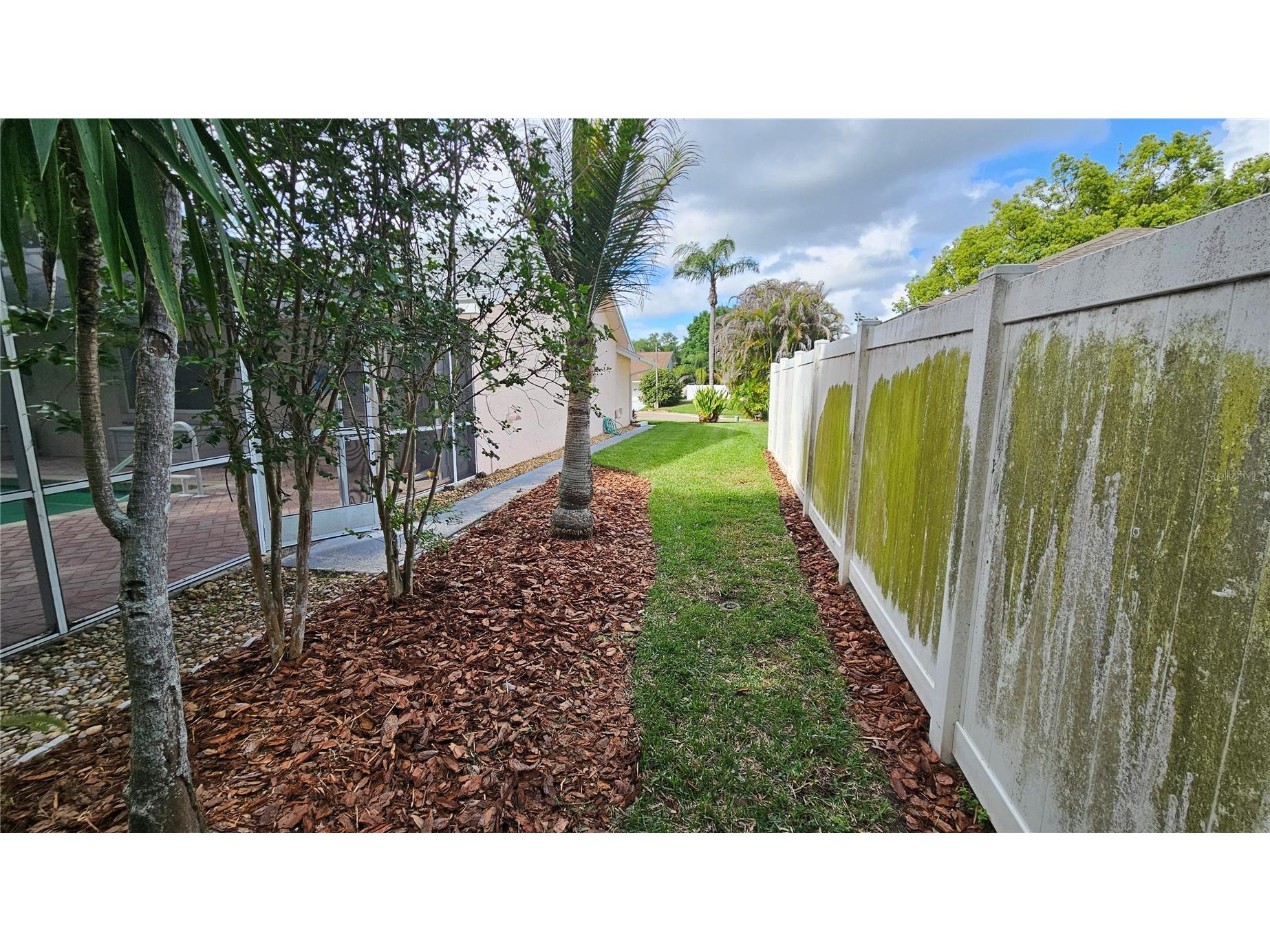 2626 Wendover Terrace Palm Harbor FL 34685 TB8497428 image38