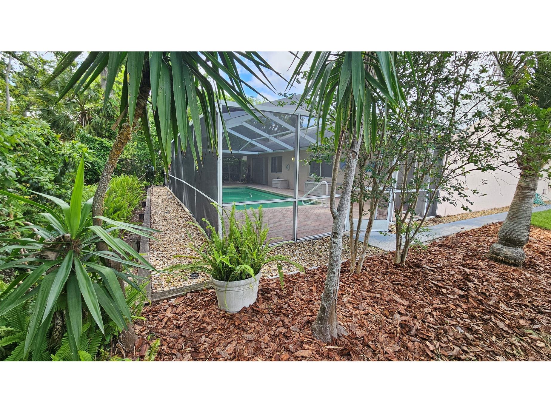 2626 Wendover Terrace Palm Harbor FL 34685 TB8497428 image39