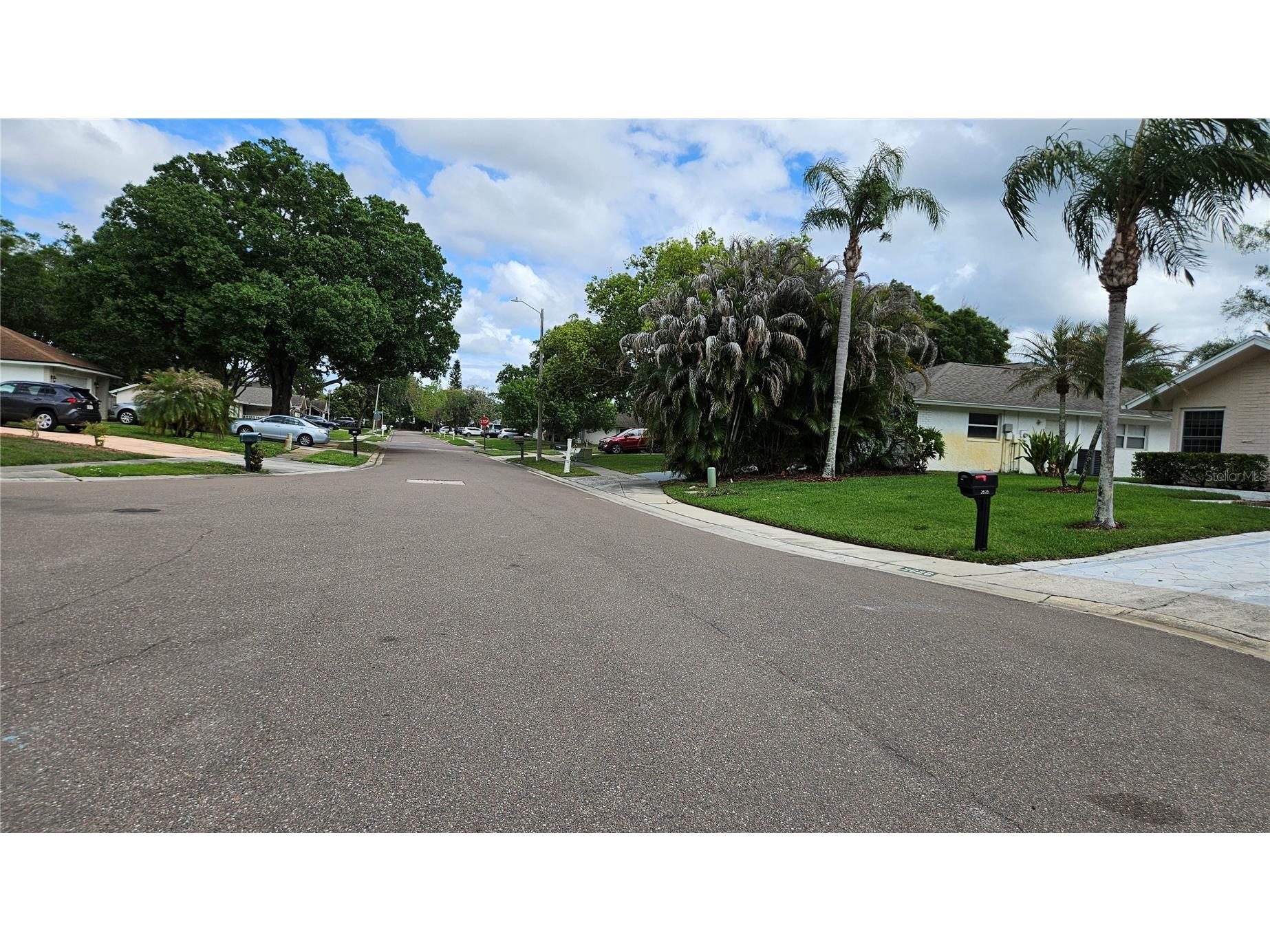 2626 Wendover Terrace Palm Harbor FL 34685 TB8497428 image40