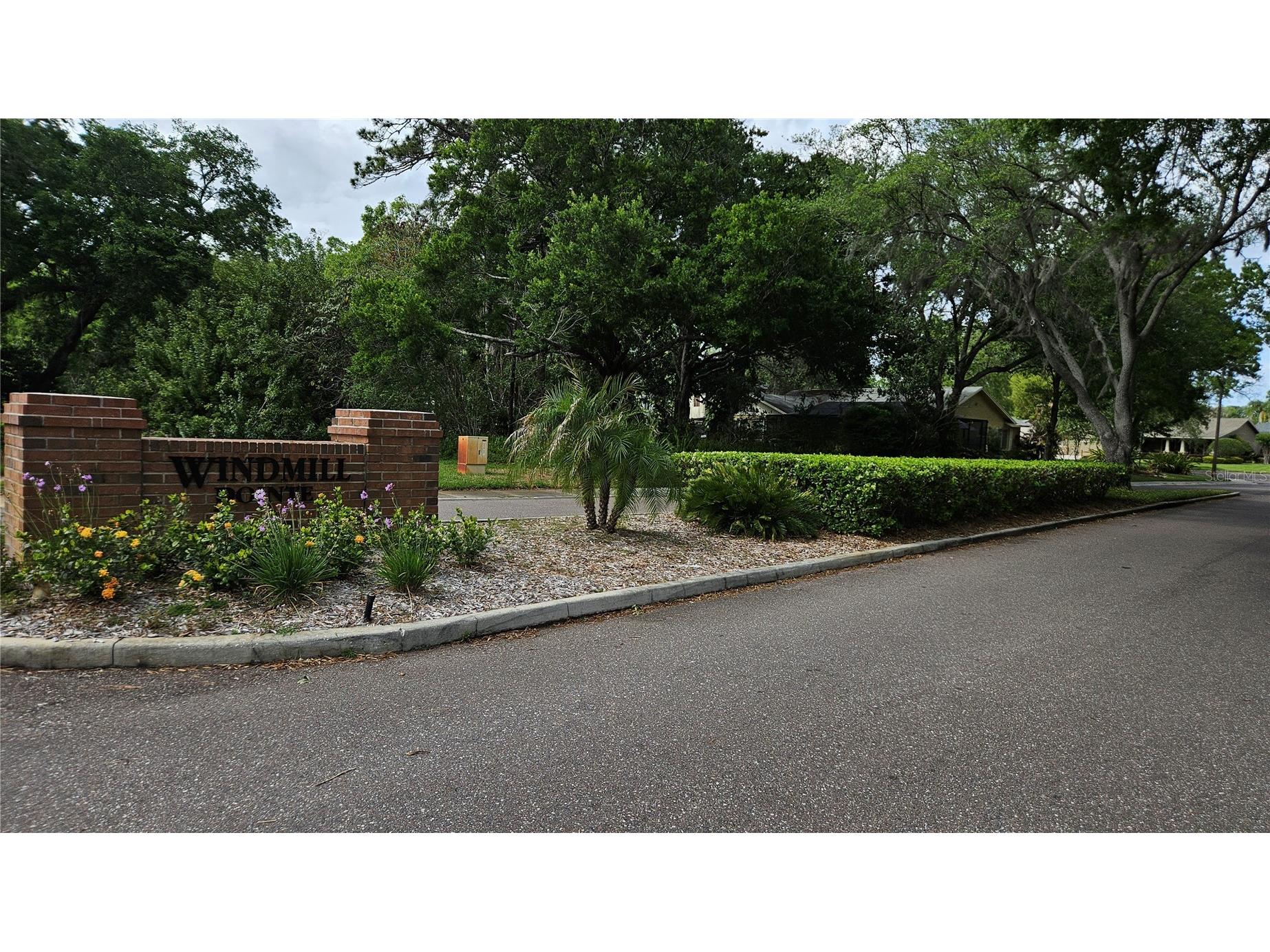 2626 Wendover Terrace Palm Harbor FL 34685 TB8497428 image47