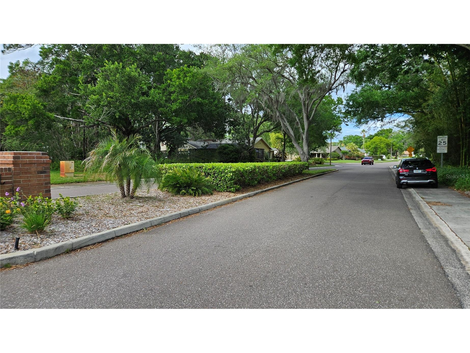 2626 Wendover Terrace Palm Harbor FL 34685 TB8497428 image48