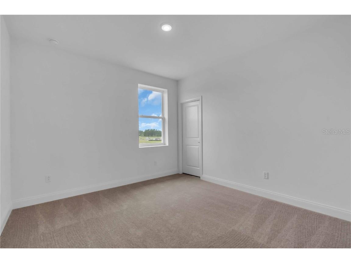 2626 Wise River Lane Zephyrhills FL 33539 O6256920 image17