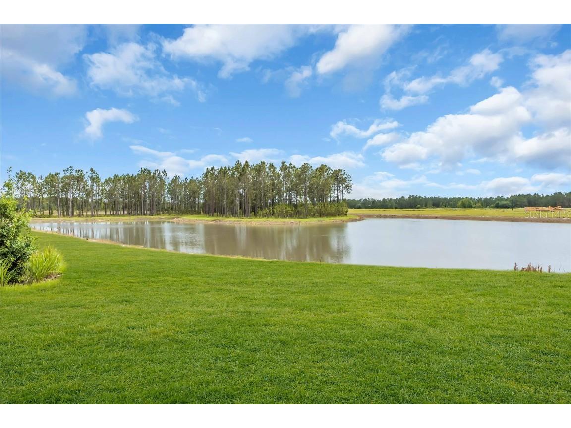 2626 Wise River Lane Zephyrhills FL 33539 O6256920 image21