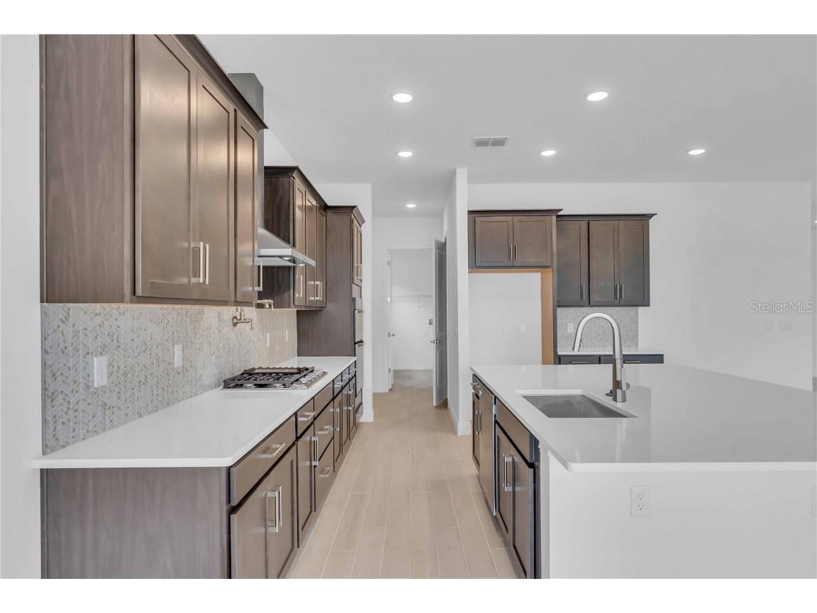 2626 Wise River Lane Zephyrhills FL 33539 O6256920 image8