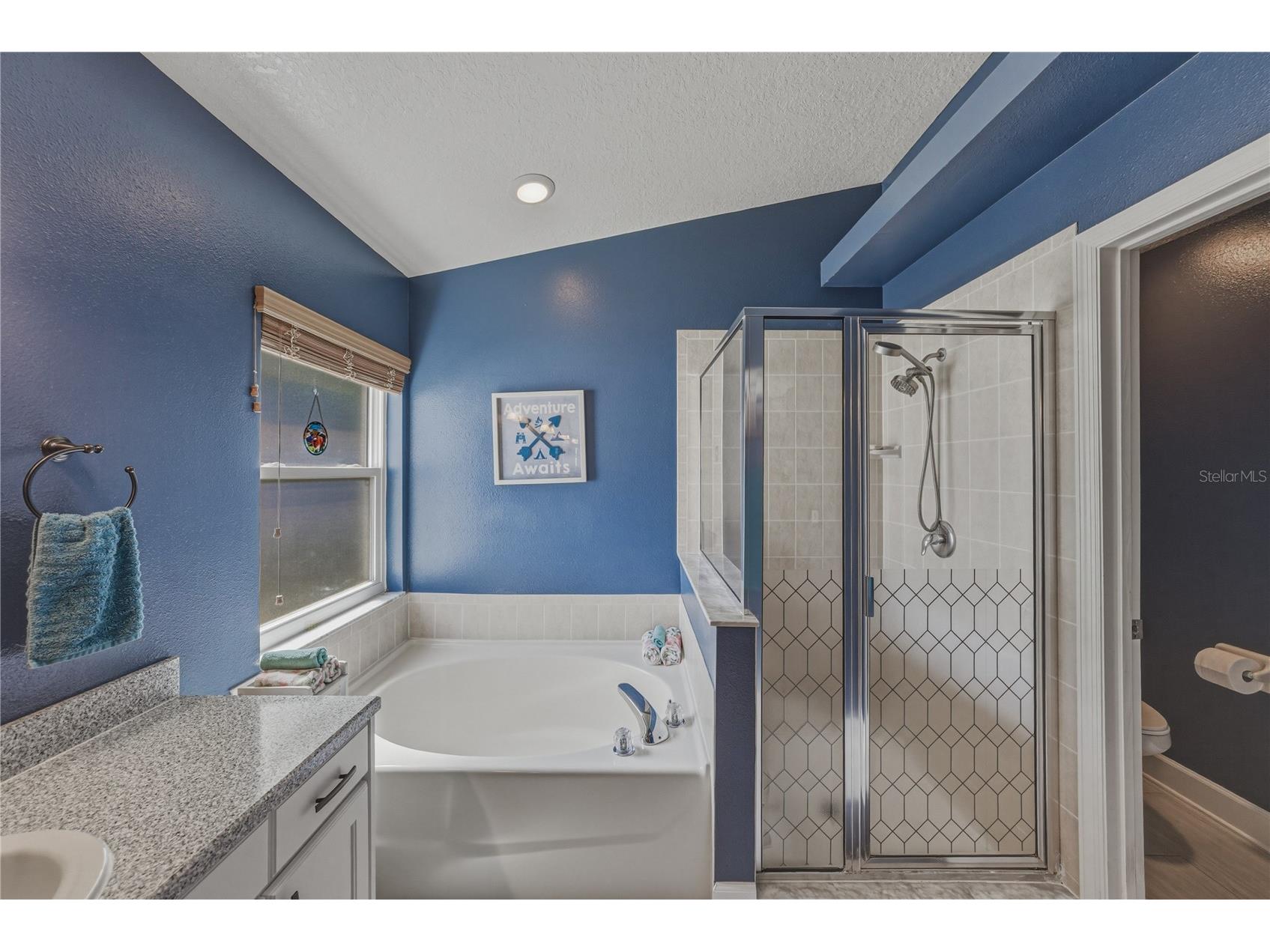 2627 Brookville Drive Valrico FL 33596 TB8490718 image39