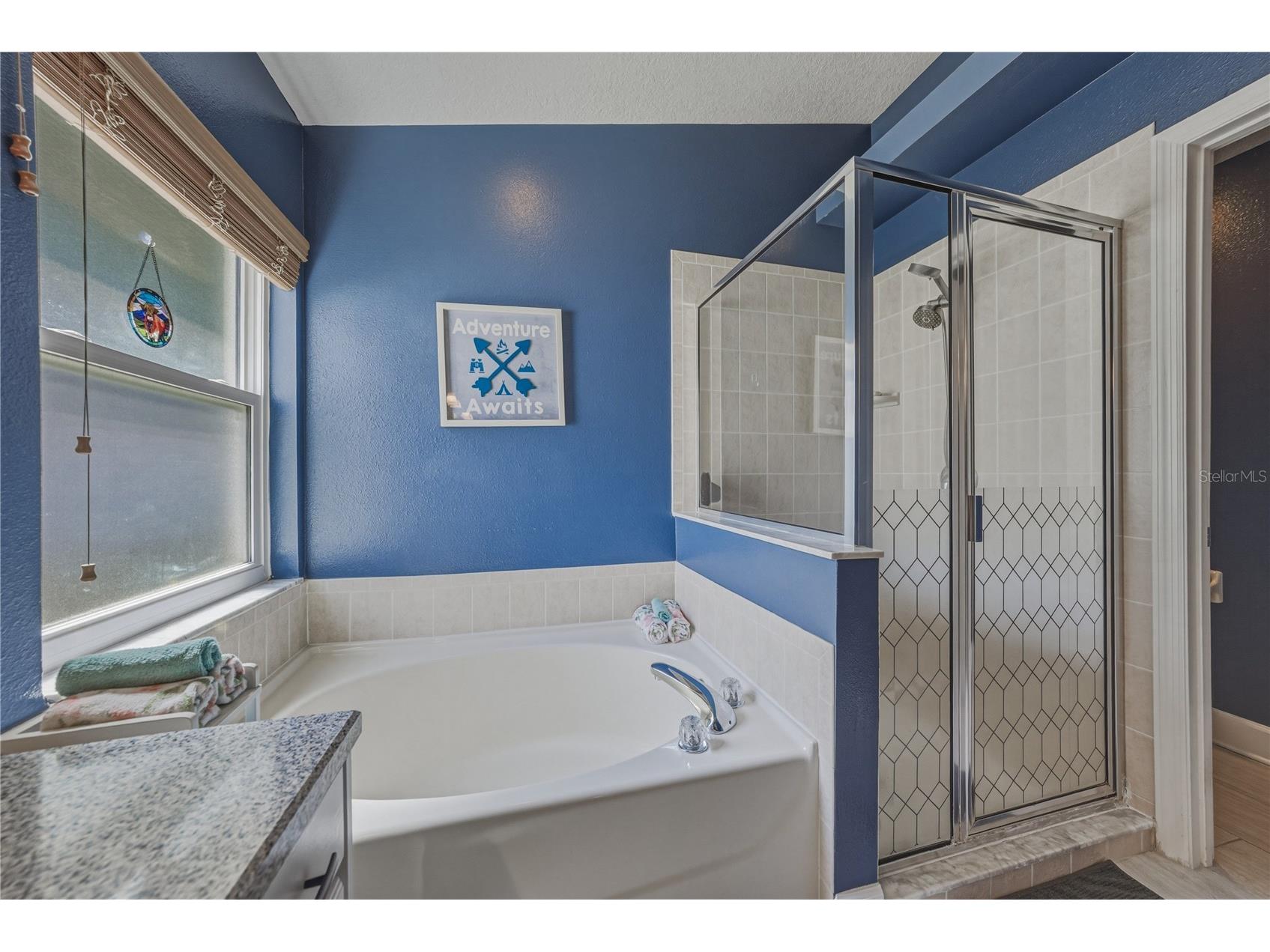 2627 Brookville Drive Valrico FL 33596 TB8490718 image40