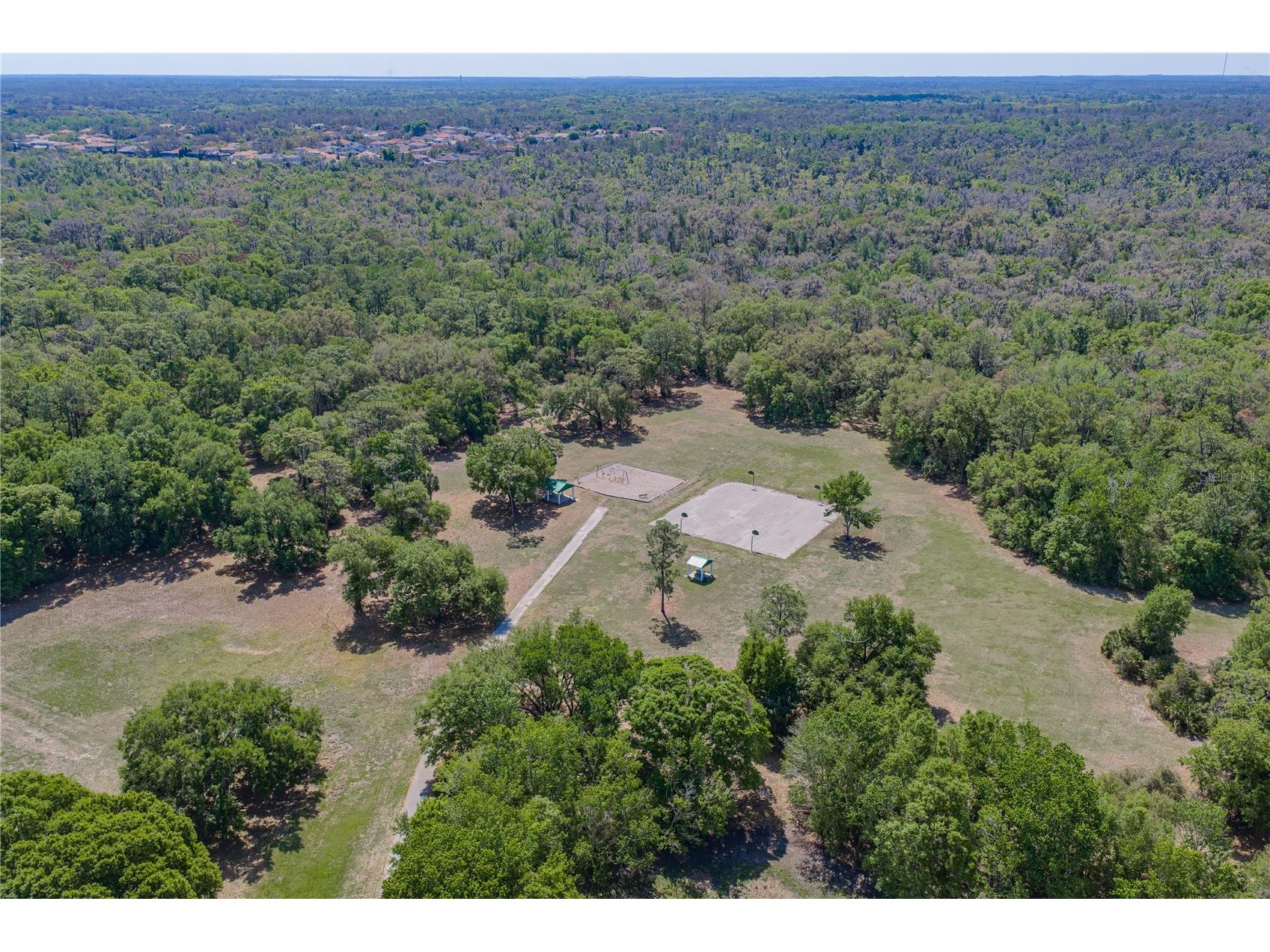 2627 Brookville Drive Valrico FL 33596 TB8490718 image56