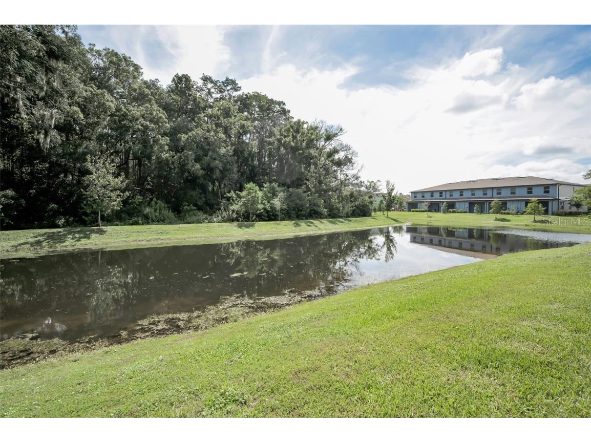 2627 Charlan Court Holiday FL 34690 TB8427214 image48