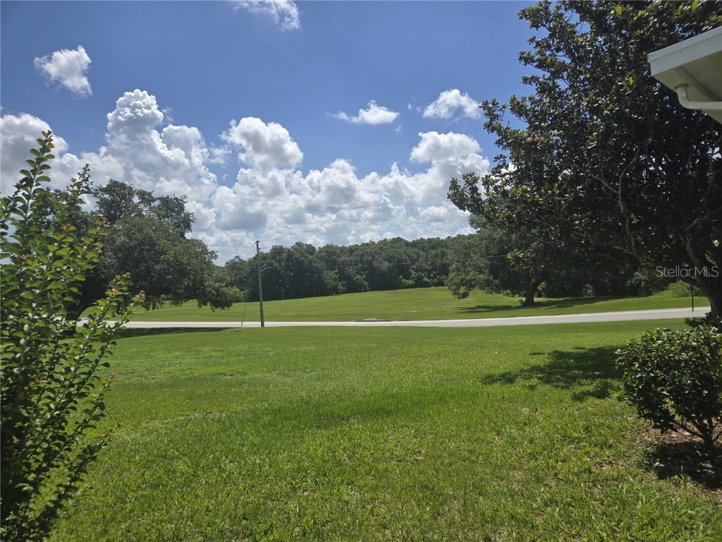 2627 Fiddlewood Court #868 Zellwood FL 32798 - LAKE GRASSMERE AND LAKE COHEN O6318280 image6